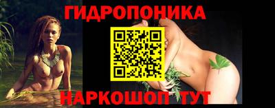 трава Бийск