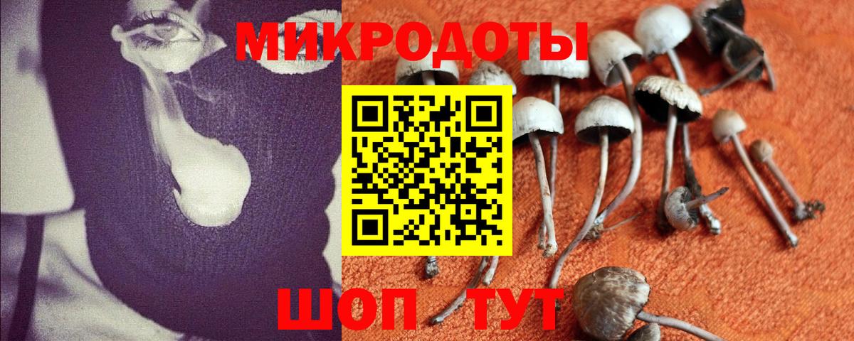 Галлюциногенные грибы MAGIC MUSHROOMS Изобильный