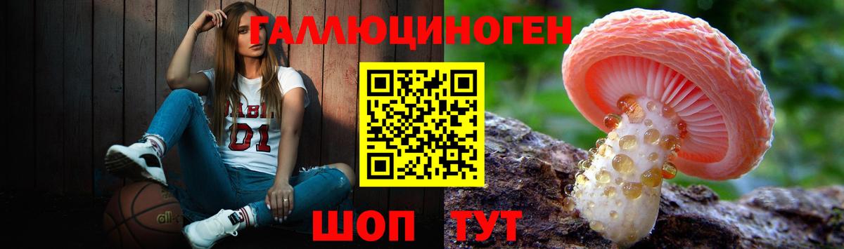 Галлюциногенные грибы MAGIC MUSHROOMS  Псилоцибиновые грибы Psilocybine cubensis  Вход с VPN  Изобильный 